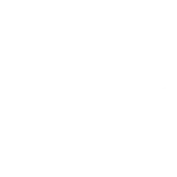 Paint Roller Icon