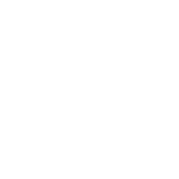 Roof Icon